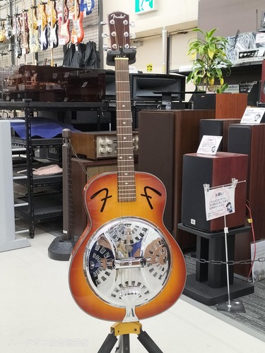 Guitare acoustique fender - guitare,
