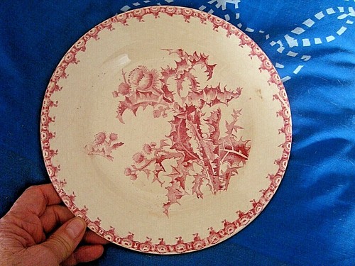 Superbe ancienne assiette - et,