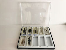 Boite de   inclusions d'insectes en résine NATIONAL GEOGRAPHIC oct08c