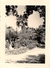 Jardin urbain de Messine