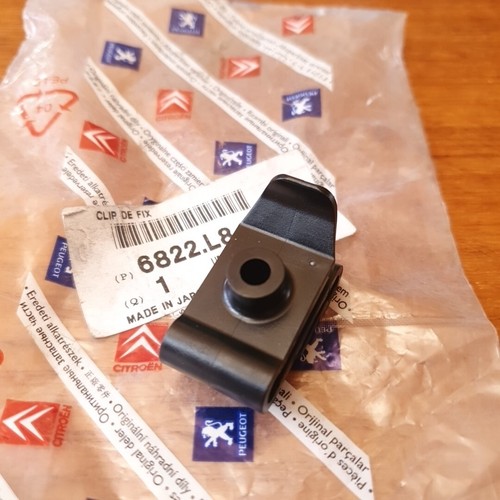 Clip fixation pare - clip, de