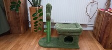 Niche cactus neuve arbre - cactus,