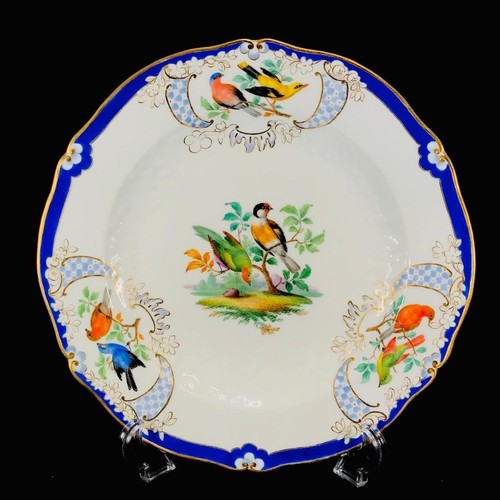 Meissen old - old, meissen/*museum