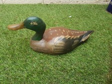 appelants bois chasse canard