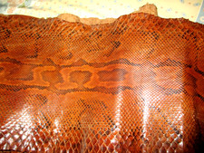 AUTHENTIQUE PEAU DE SERPENT