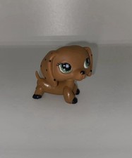 petshop Teckel