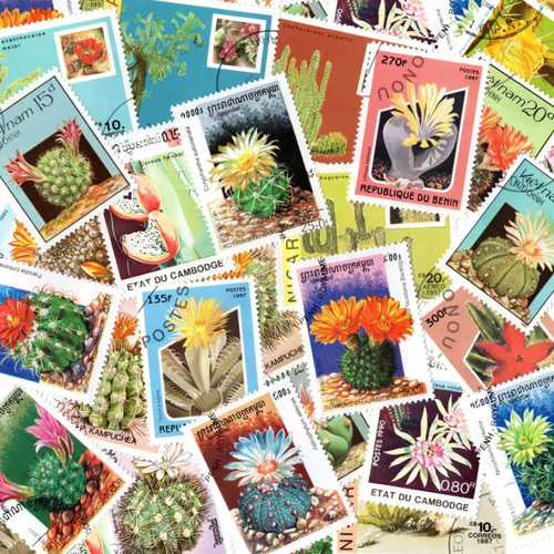 Cactus timbres thématiques