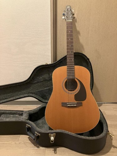 Guitare acoustique seagull - guitare,