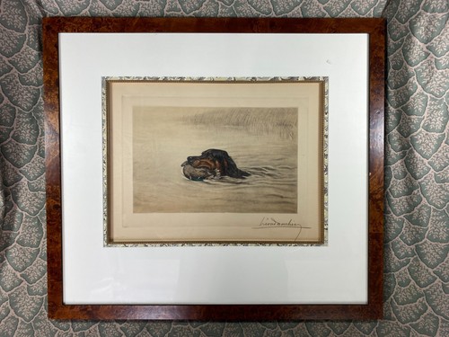 Leon danchin hunting - danchin, gordon