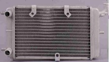 RADIATEUR EAU MOTO RIEJU PT131