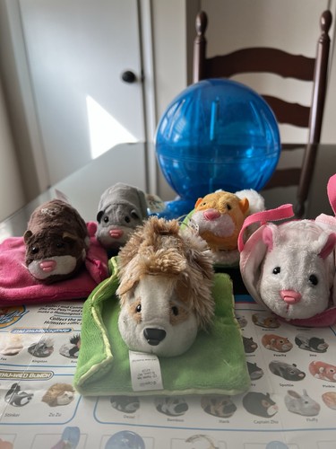 Zhu pets hamsters toys - zhu,