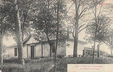 81 FORET DE LA GRESIGNE 67836