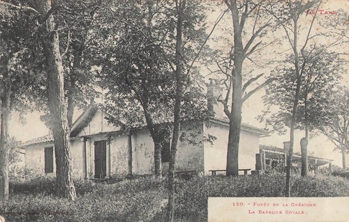 Foret gresigne 67836 - de, la
