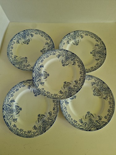 Lot assiette plate - assiette,