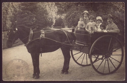 Carte photo promenade d - carte-photo, d'une