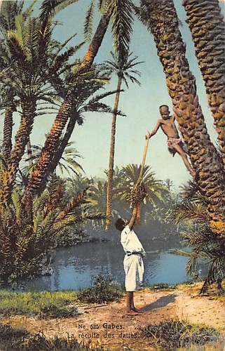 Tunisie gabès la - -,