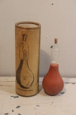 Pulvérisateur nasal avec sa