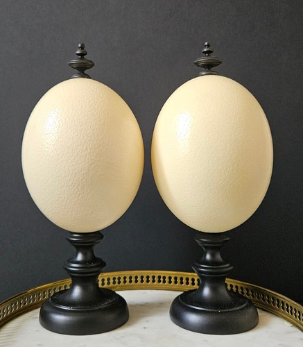 Oeuf autruche socle - oeuf, bois