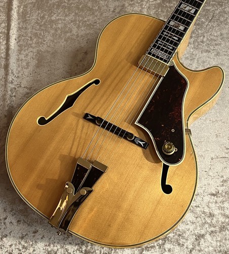 Ibanez george benson gb20 - george,