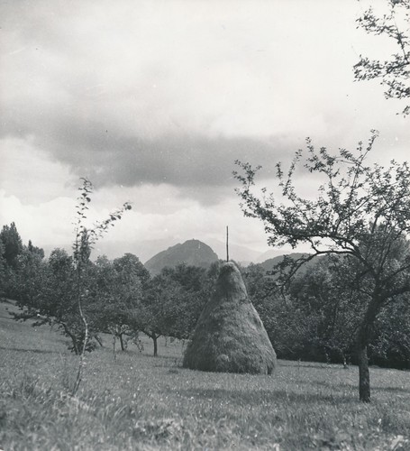 Isère 1938 fruitiers - isÈre,