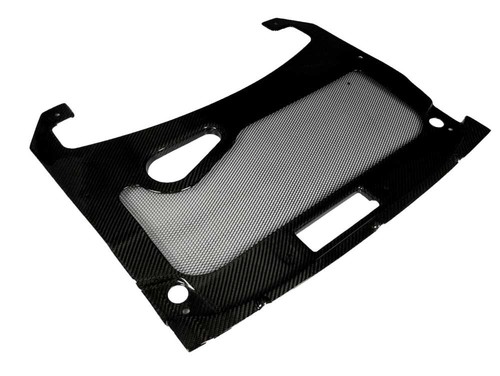 Carbone grand capot - grand, moteur