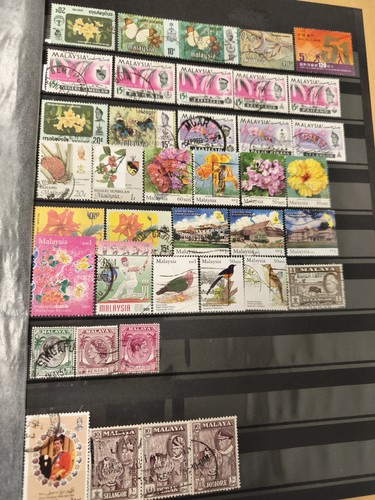Lot timbres malaisie fleurs - malaisie,
