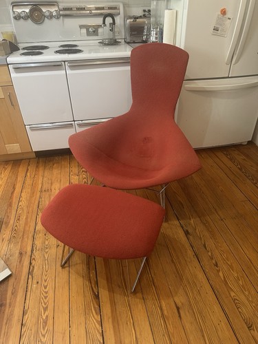 Bertoia for knoll - bertoia,