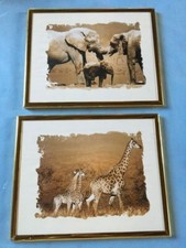 2 CADRES  " SOUVENIR D'AFRIQUE