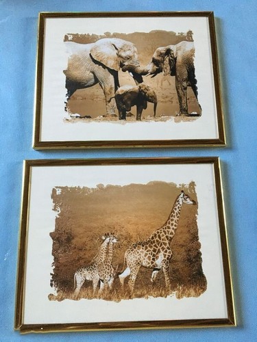 Cadres souvenir d afrique - 2,
