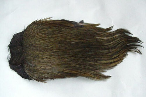 Cou coq indien olive - cou,