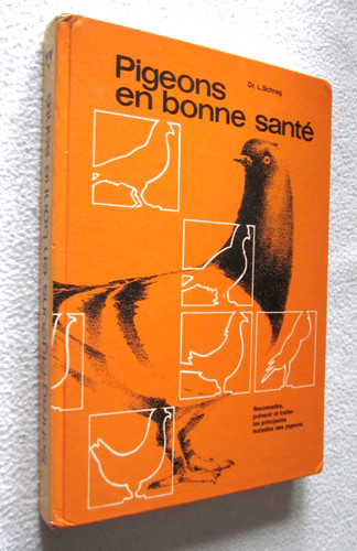 Colombophilie pigeons en - colombophilie, :
