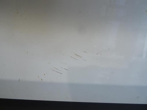 Porte avant gauche ford kuga - avant,