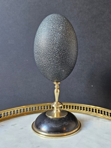 Oeuf émeu socle - d'Émeu,,