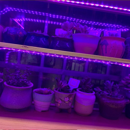 Lampe horticole led 2 - horticole, (2