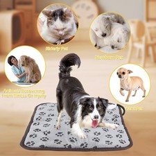 Coussin Chauffant électrique Pour Animaux De Compagnie Tapis Chauffant Pour Chat