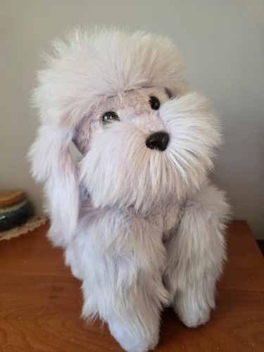 Grand chien caniche - grand, royal