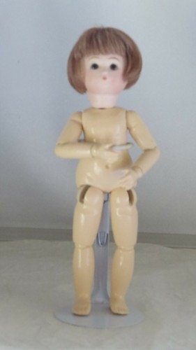 Bécassine ref - ,