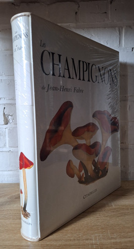 Les champignons jean - champignons, henri