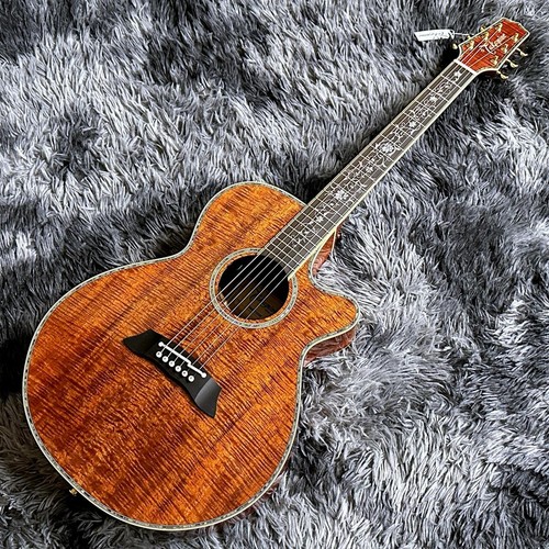 Takamine dmp100k n 100 - takamine,