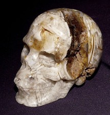 Cranium En Pierre Précieuse