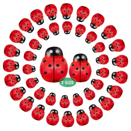 Coccinelle bois 200 pièces - en, bois,200