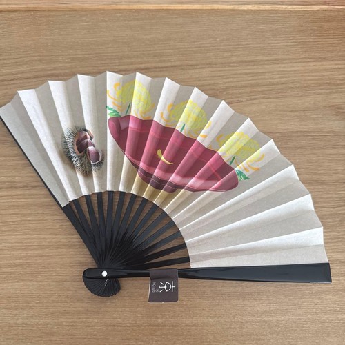 éventail pliable japonais - pliable,