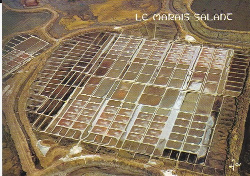 Cpsm bretagne marais - cpsm, le