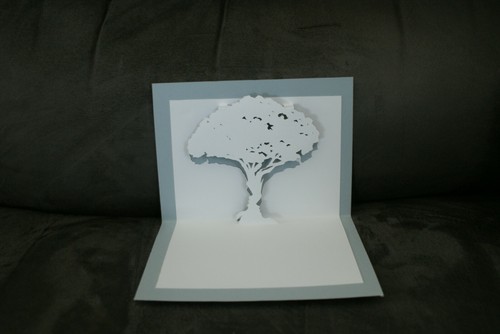 Carte trompe oeil arbre en - l'oeil,
