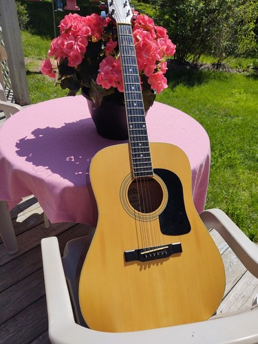 Washburn k guitar - d,