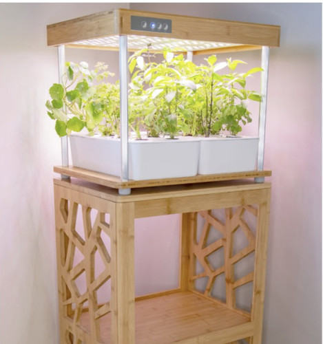Jardin hydroponique intérieur - jardin,