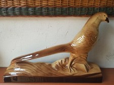 Très joli faisan en