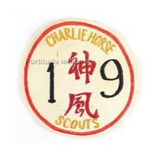 Patch US Post WW2 / Vietnam
