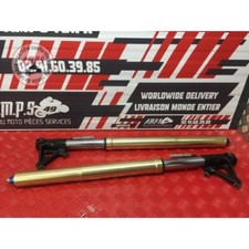 Paire de tube de fourche Triumph 1050 TIGER 2007 à 2012