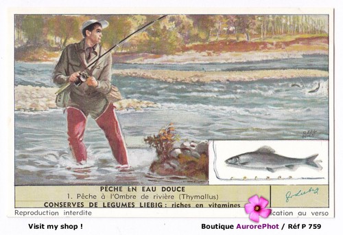 Pêche eau douce - pÊche, douce,
